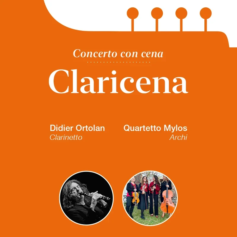 Claricena dettaglio xs